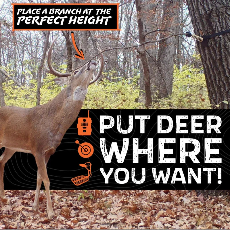 Hodag Outdoors Licking Branch System