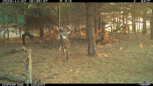 3ft Ready to Use Rope for Rope Scrapes