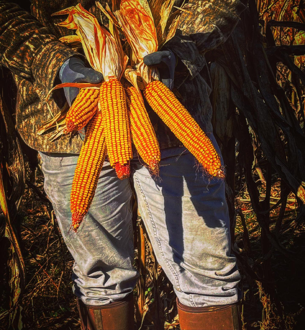 RWWP “NUTRI-CRAVE” Corn