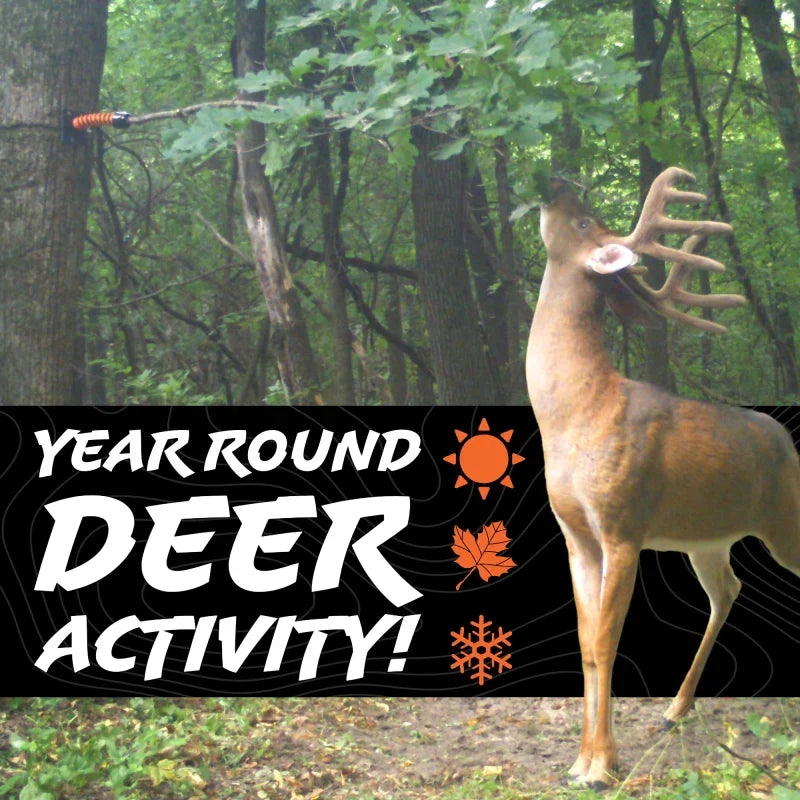 Hodag Outdoors Licking Branch System
