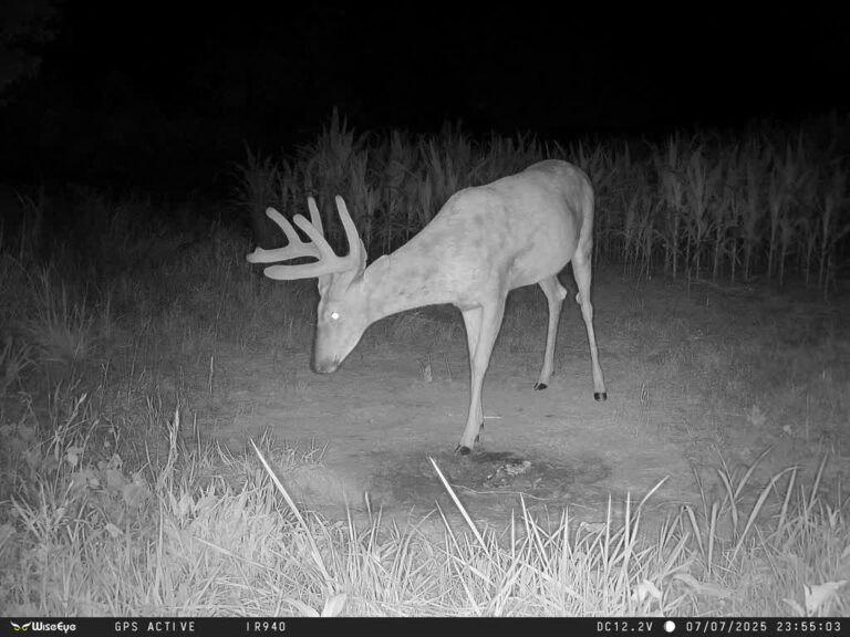 Wise Eye Data Cam 2 No Glow