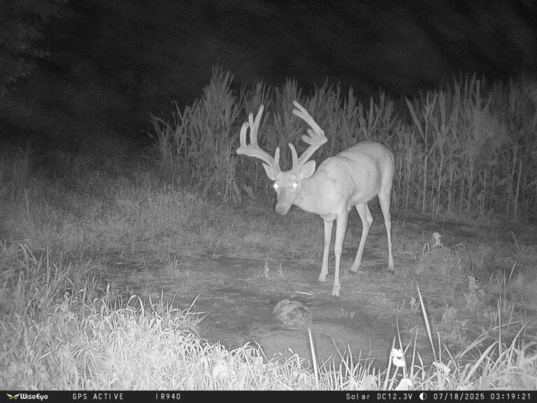 Wise Eye Data Cam 2 No Glow