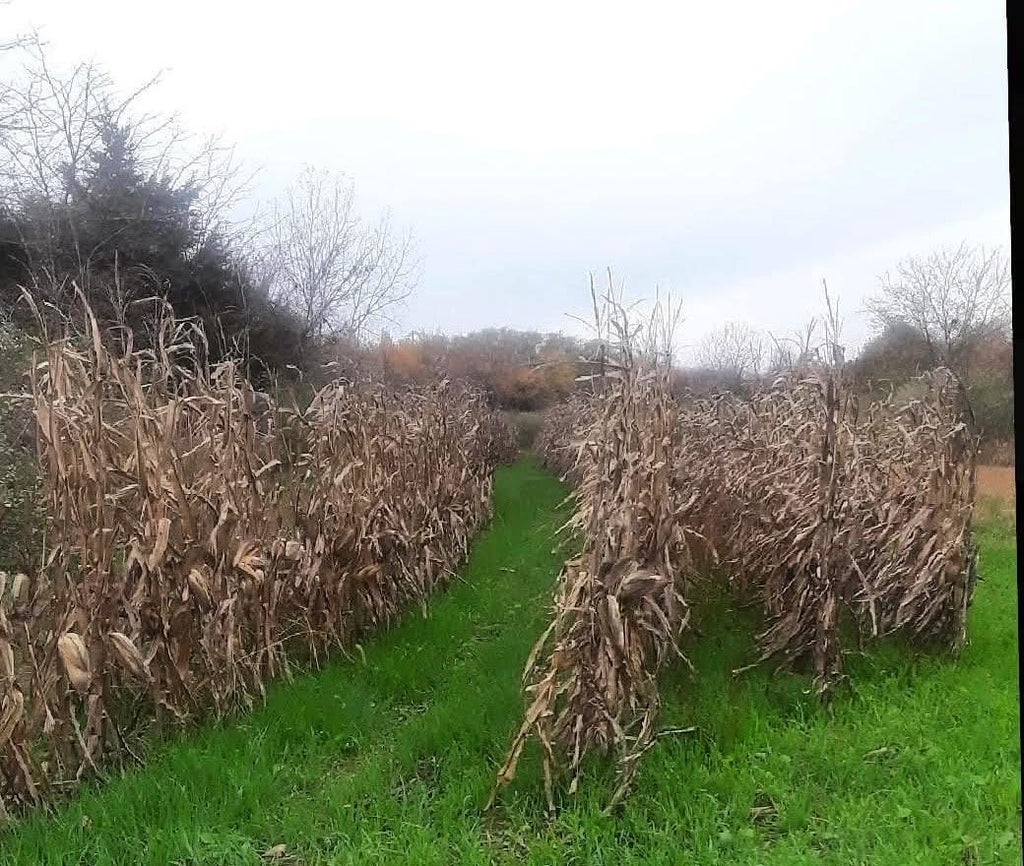 Extreme Blower Products- XD Food Plot Seeder and Fertilizer Spreader Kit