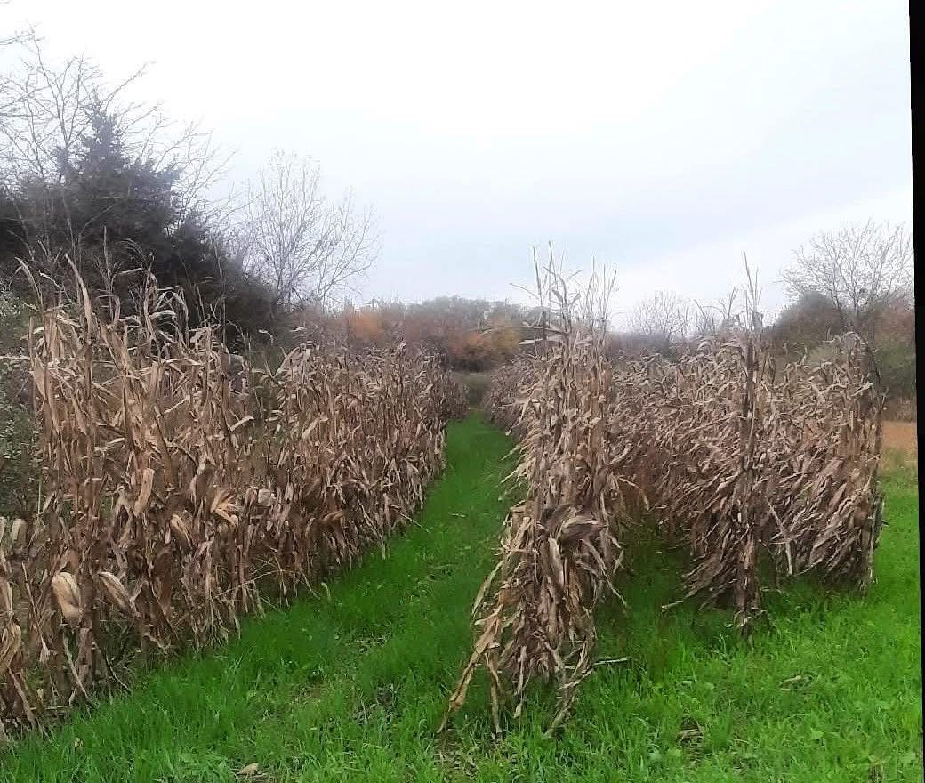 Extreme Blower Products- XD Food Plot Seeder and Fertilizer Spreader Kit