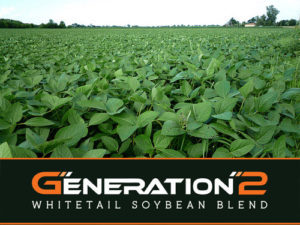 RWWP Gen 2 Soybeans