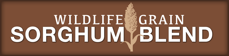 RWWP Grain Sorghum Blend