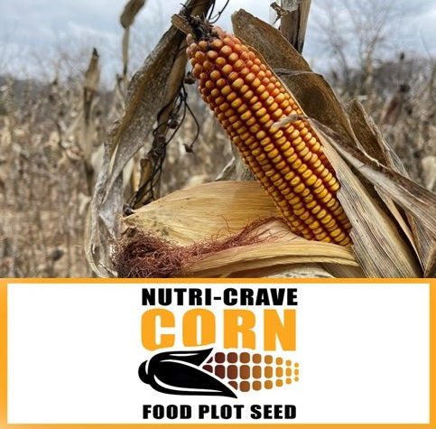 RWWP “NUTRI-CRAVE” Corn
