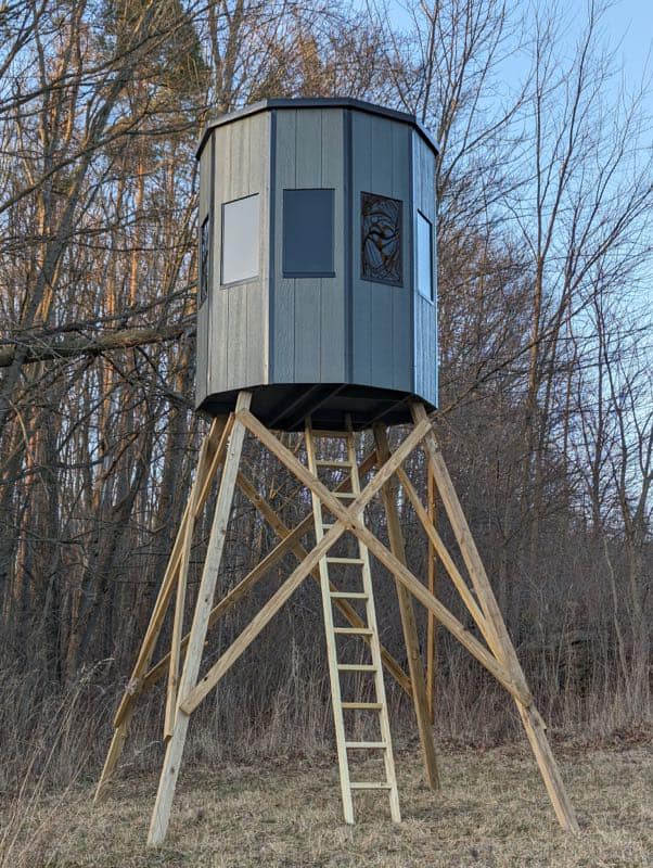 Nxt Gen 10' Pressure Treated Ladder