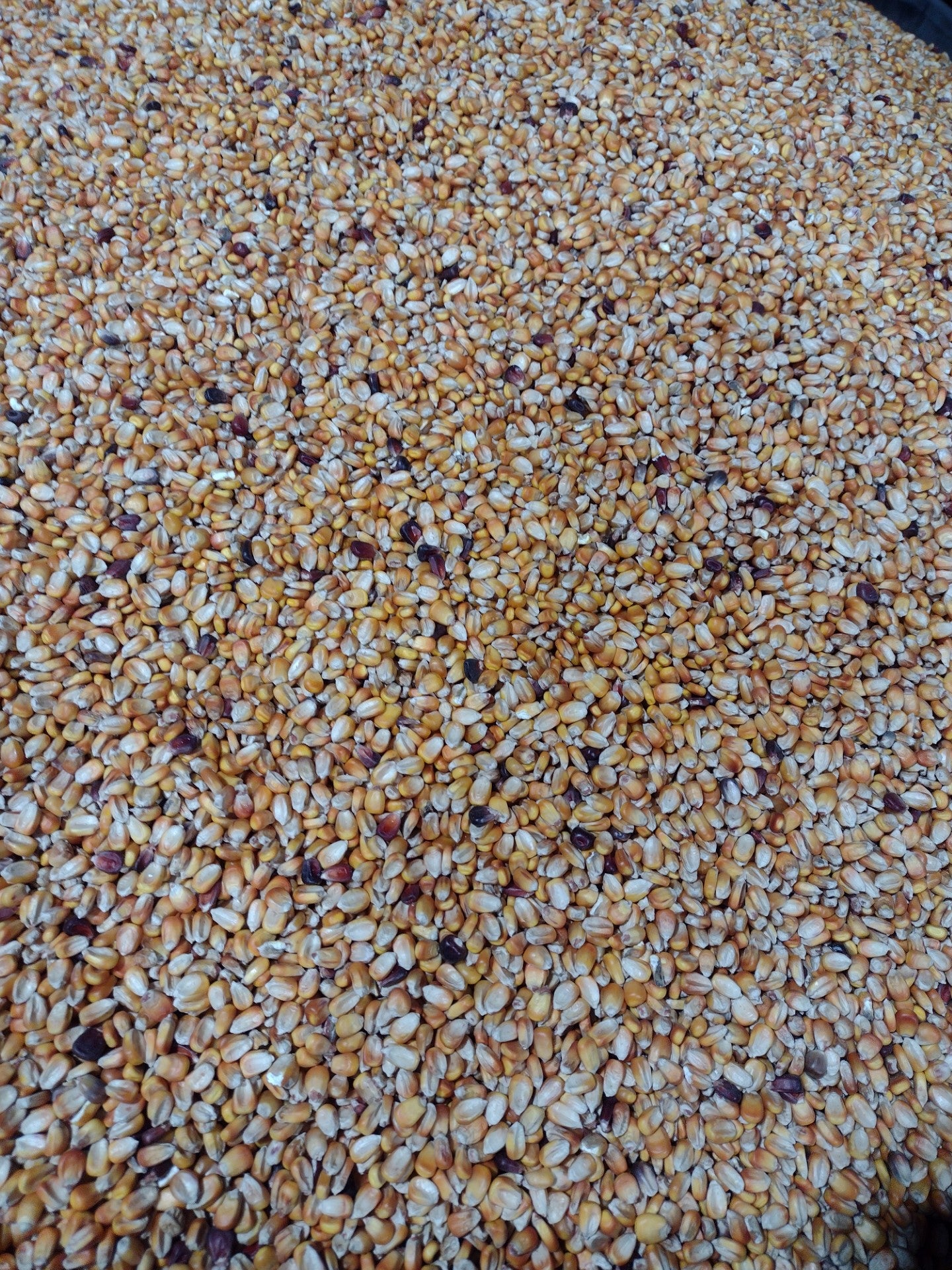 RWWP Nutri-Crave Deer Corn