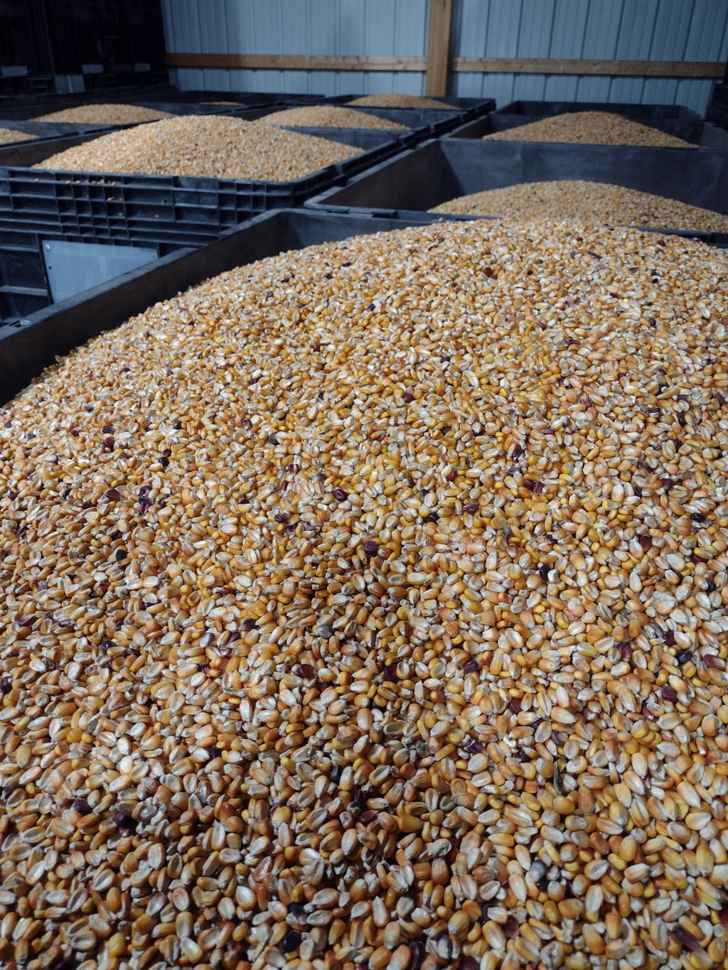 RWWP Nutri-Crave Deer Corn