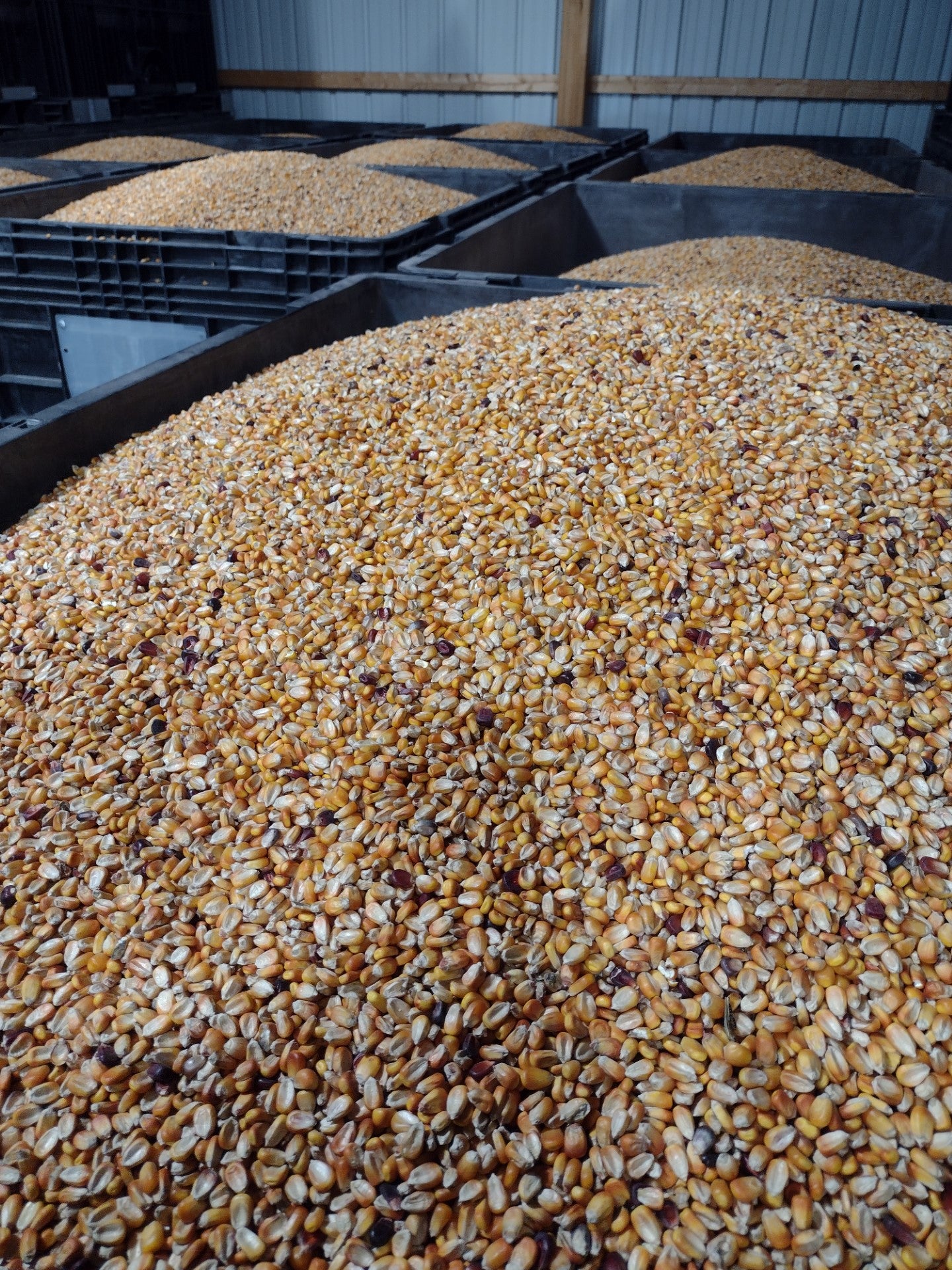 RWWP Nutri-Crave Deer Corn