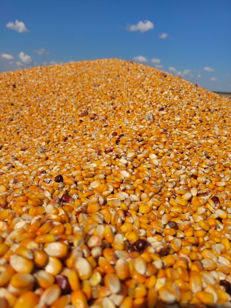 RWWP Nutri-Crave Deer Corn